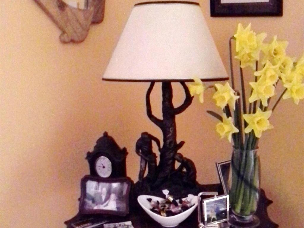 Blossom Hill Bed And Breakfast Killaloe Eksteriør bilde